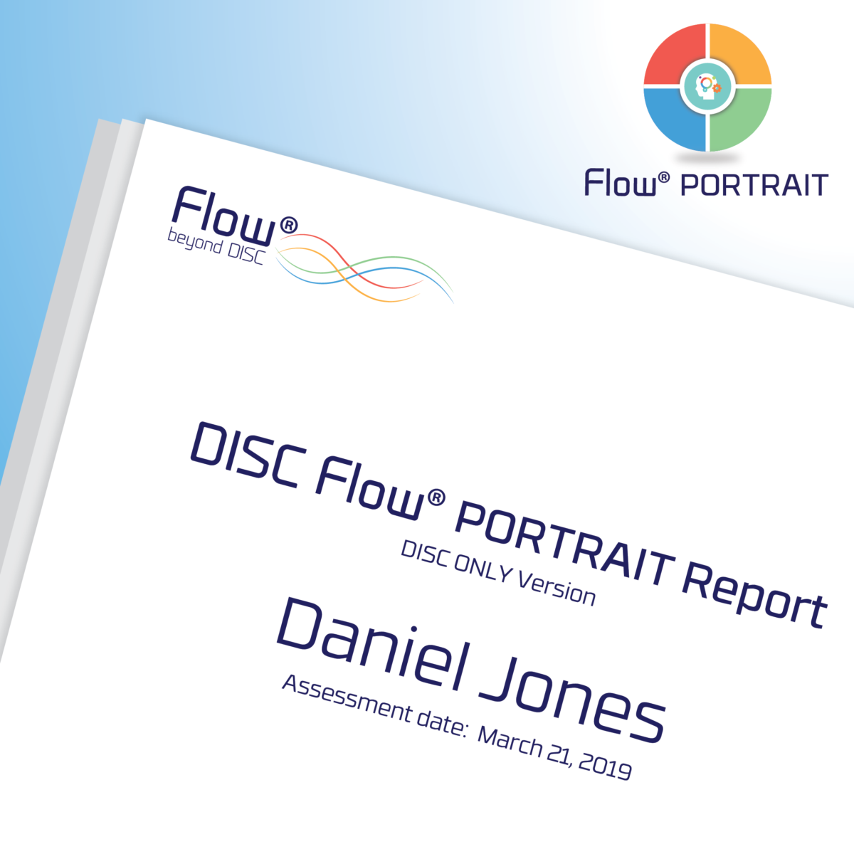 DISC Flow® PORTRAIT