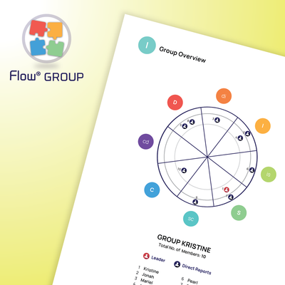 DISC Flow® GROUP