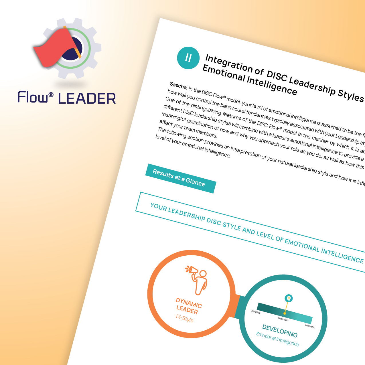 DISC Flow® LEADER