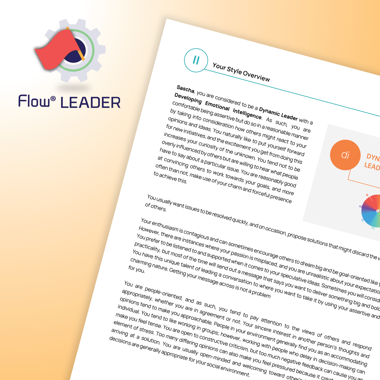 DISC Flow® LEADER