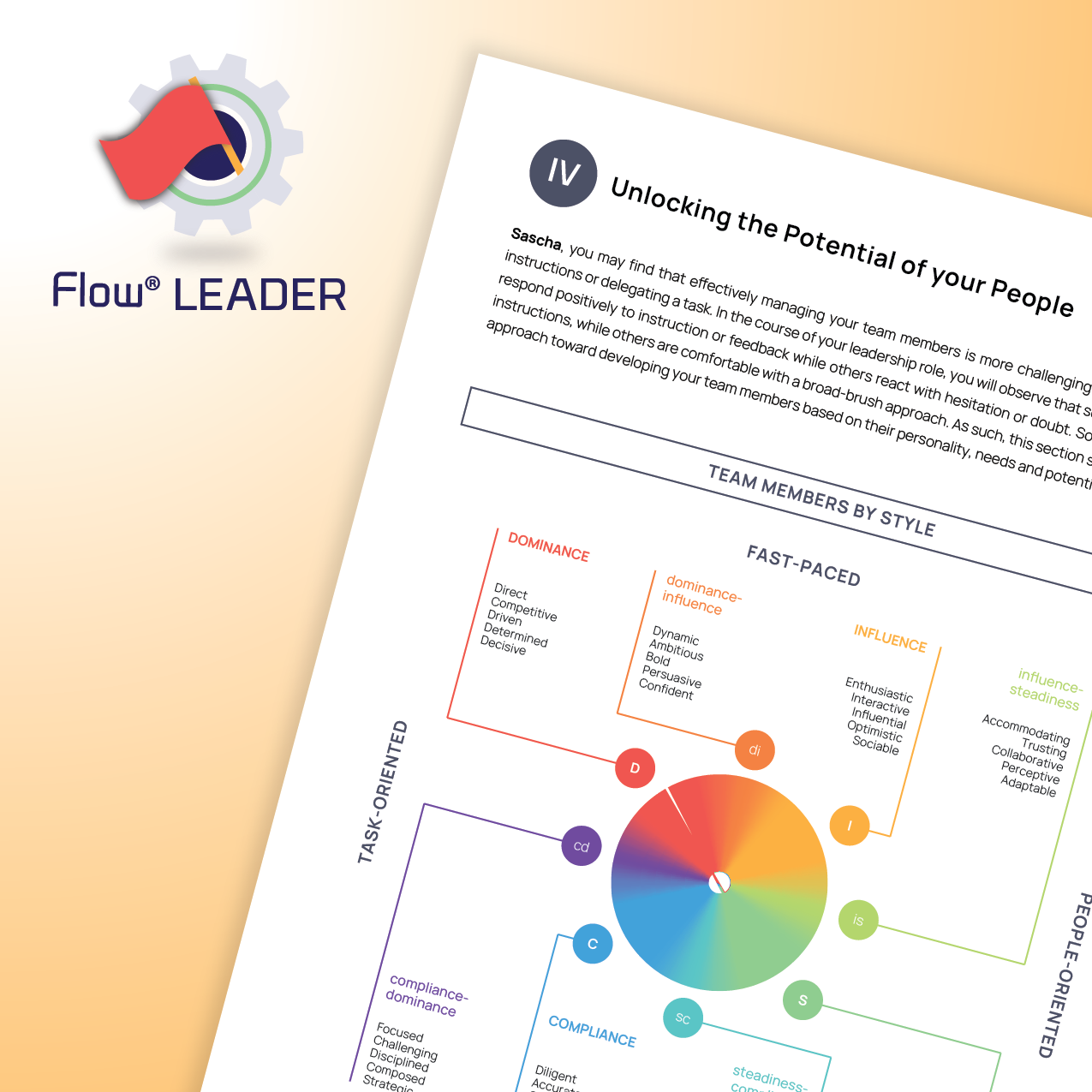 DISC Flow® LEADER