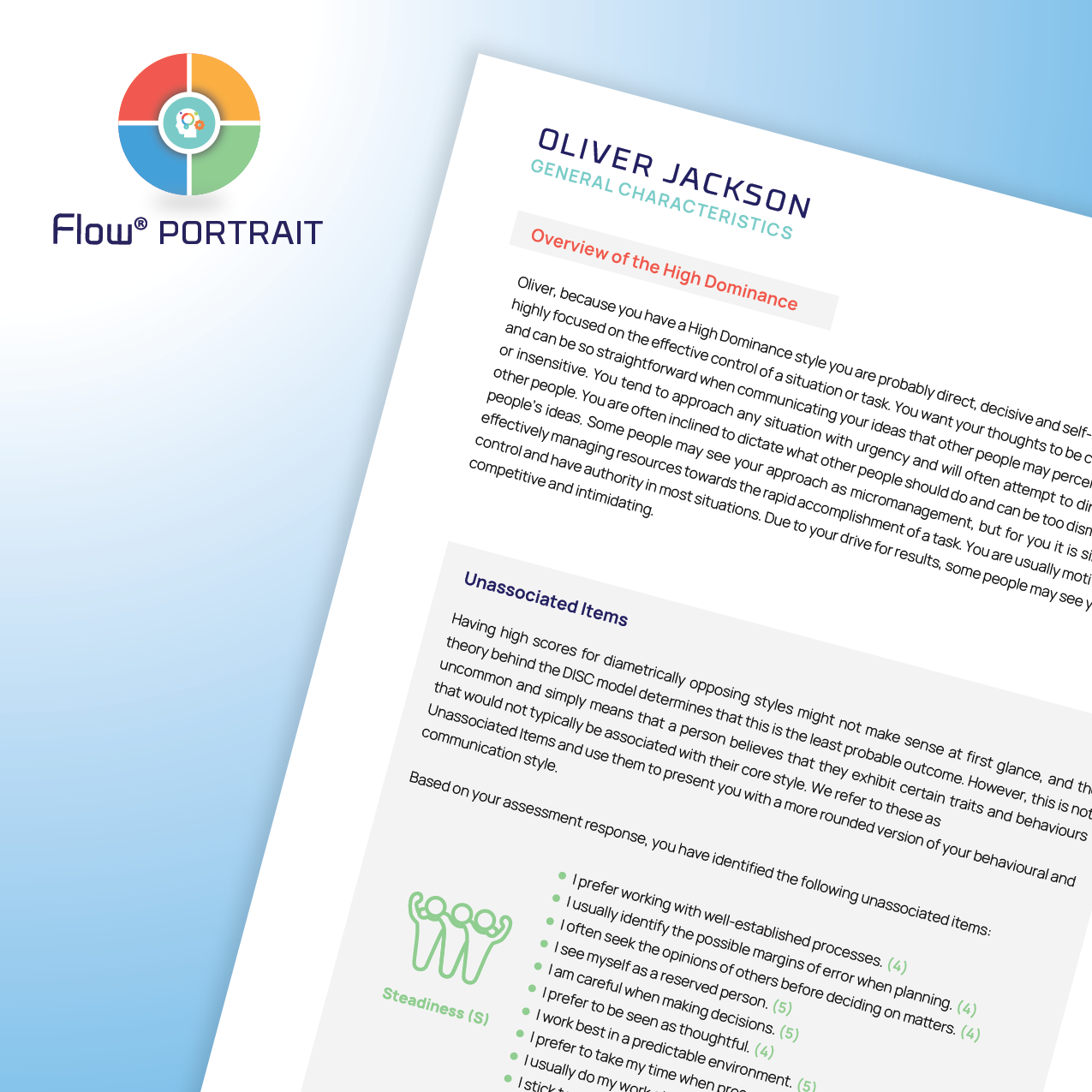 DISC Flow® PORTRAIT