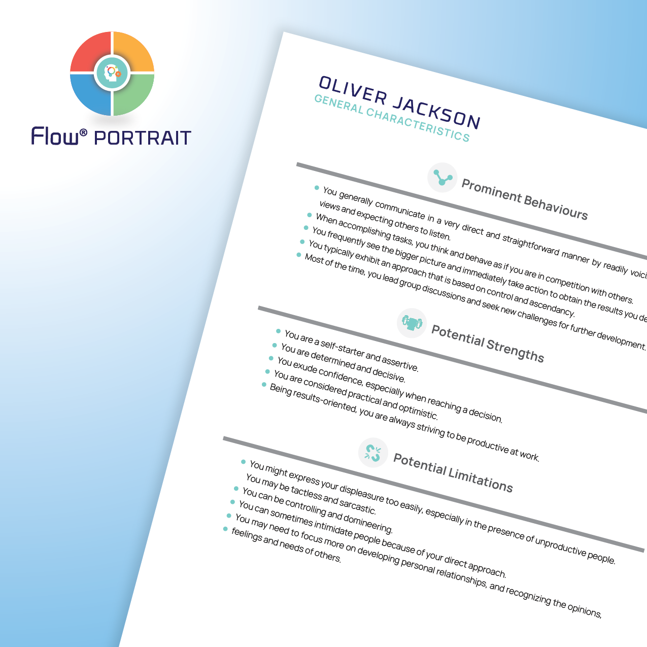 DISC Flow® PORTRAIT